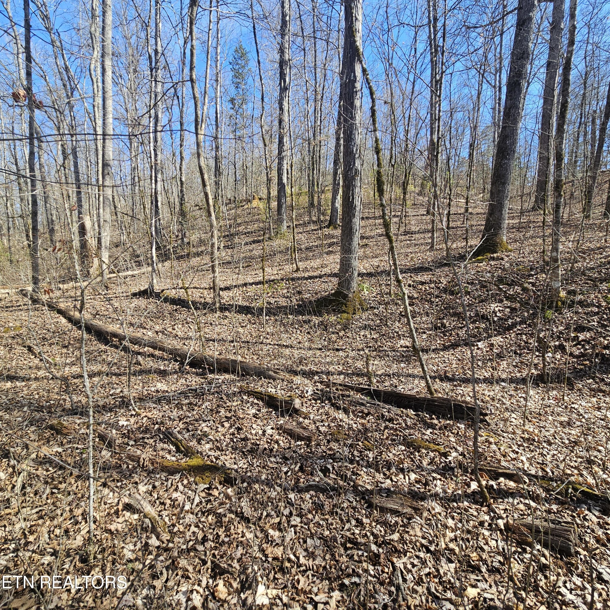 59th image of 0 Lick Creek Rd, Tellico Plains, TN 37385 | MLS# 3510759