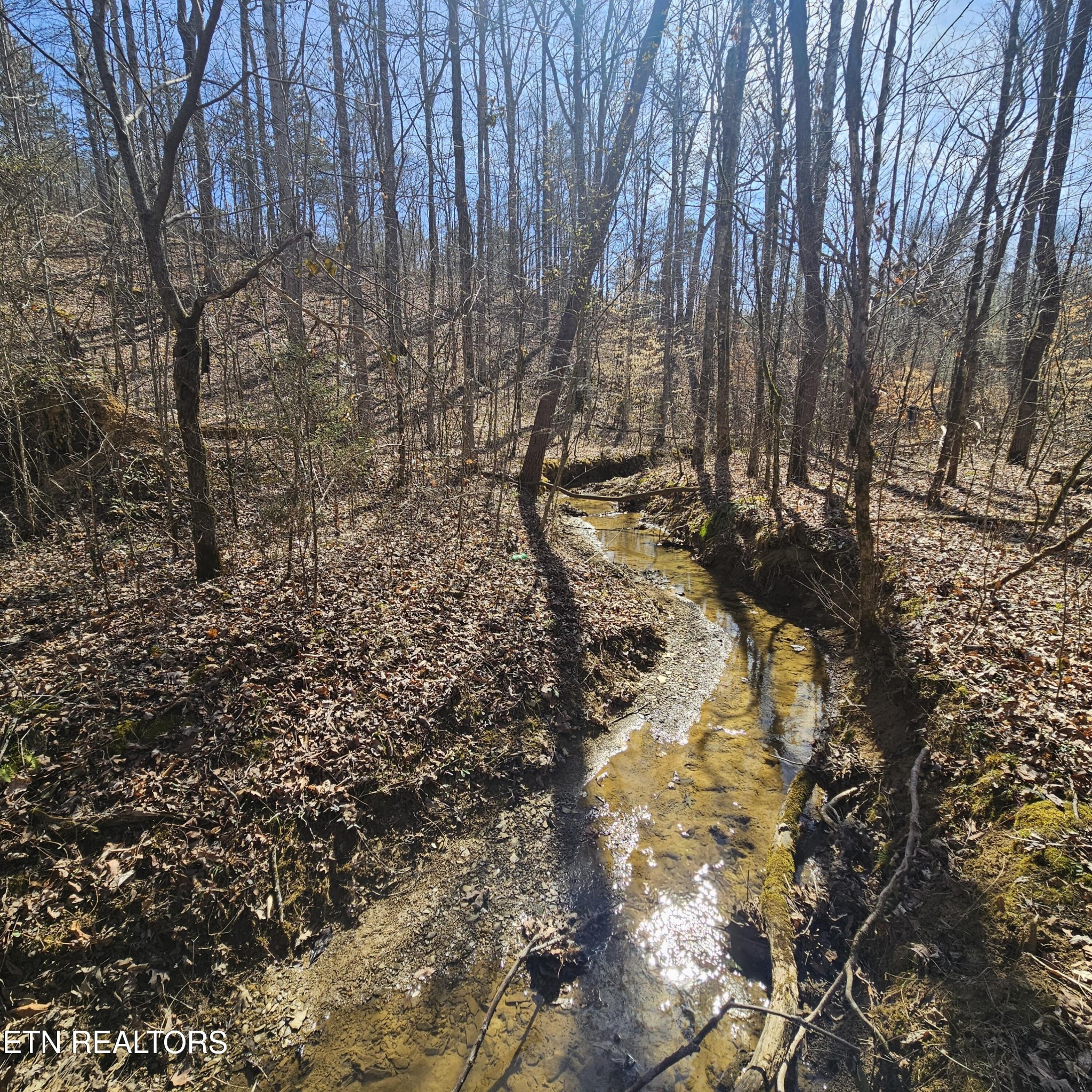 1st image of 0 Lick Creek Rd, Tellico Plains, TN 37385 | MLS# 3510759