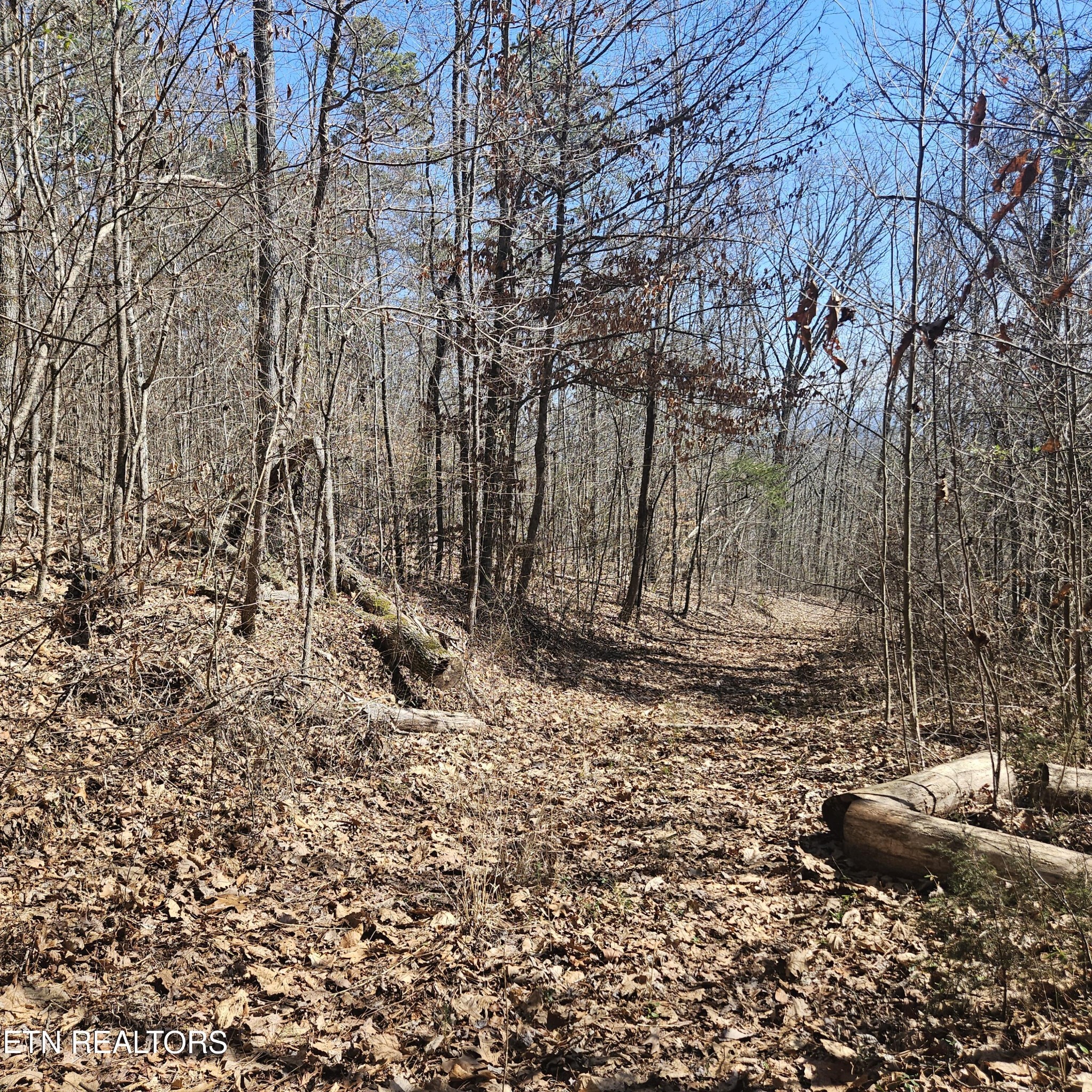 4th image of 0 Lick Creek Rd, Tellico Plains, TN 37385 | MLS# 3510759