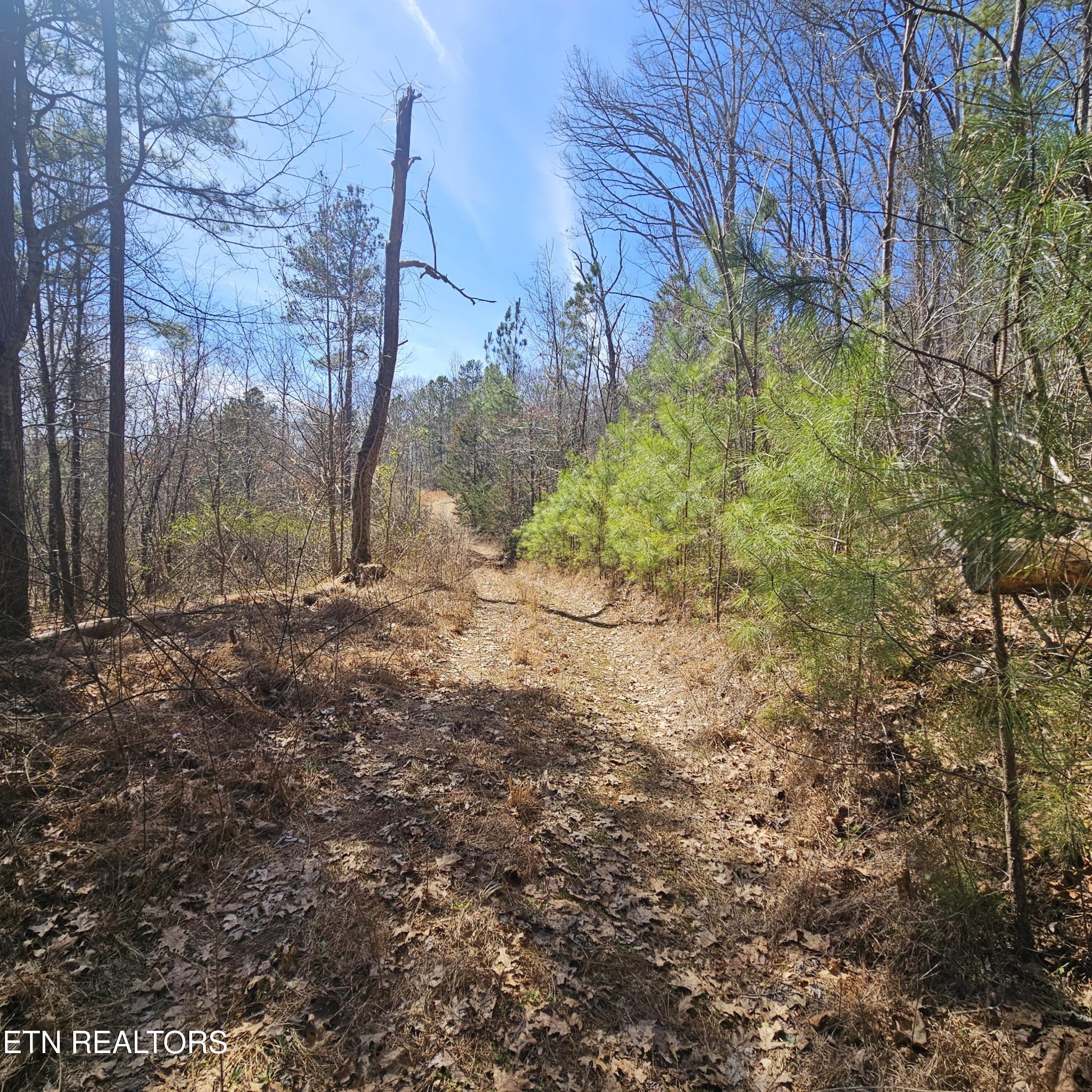 3rd image of 0 Lick Creek Rd, Tellico Plains, TN 37385 | MLS# 3510759