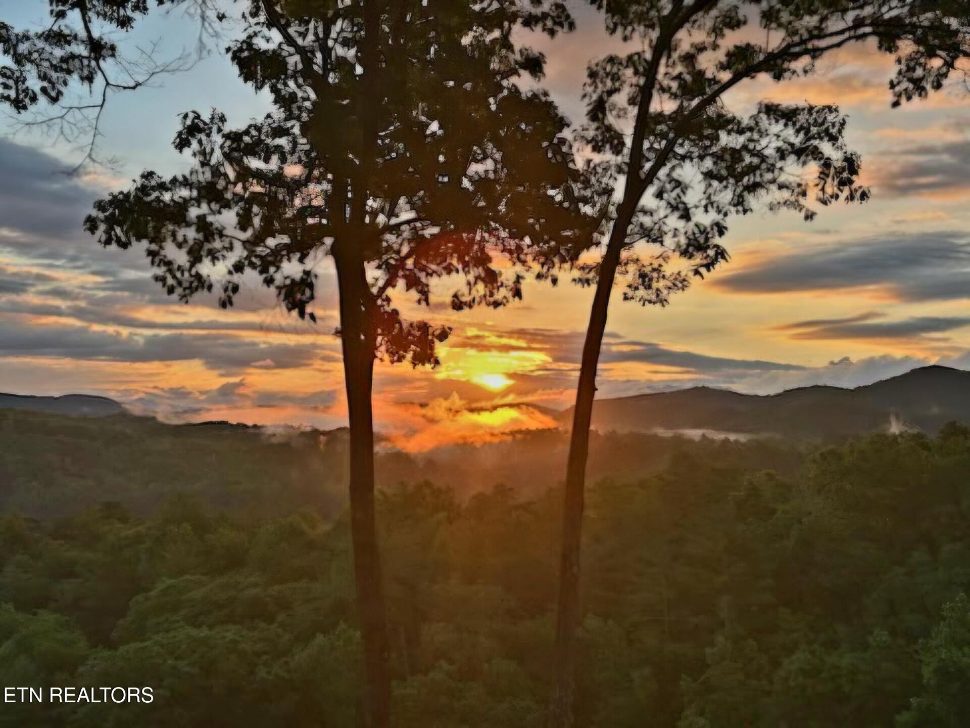 3rd image of 100 Warriors Passage Dr, Tellico Plains, TN 37385 | MLS# 3510760