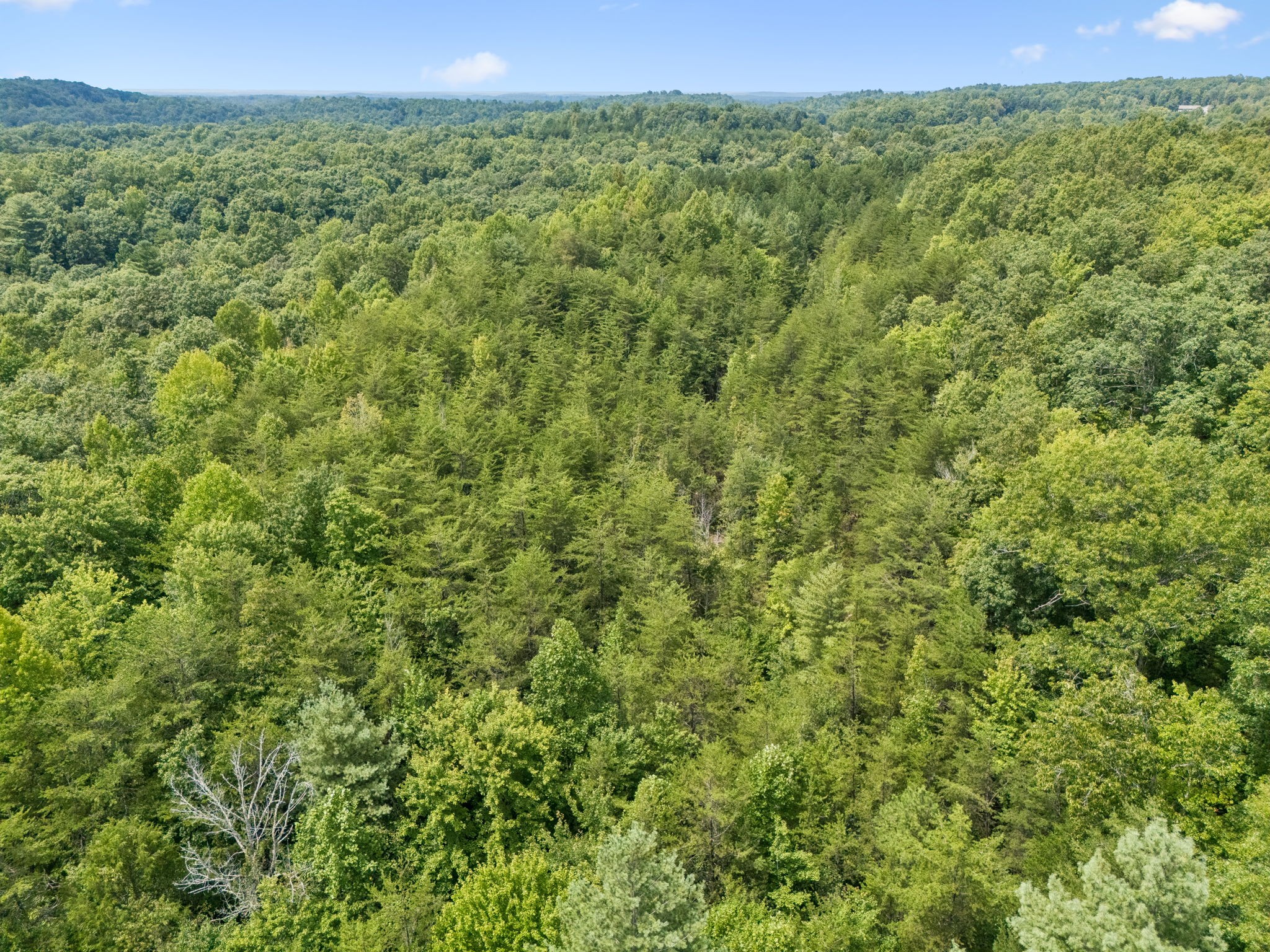 20th image of 0 Ridge Road, Robbins, TN 37852 | MLS# 3527033