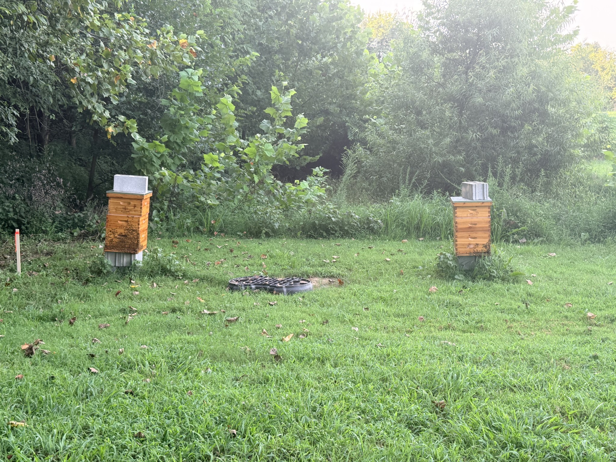 18th image of 1399 Good Hope Cemetery Rd, Oak Grove, KY 42262 | MLS# 3512607
