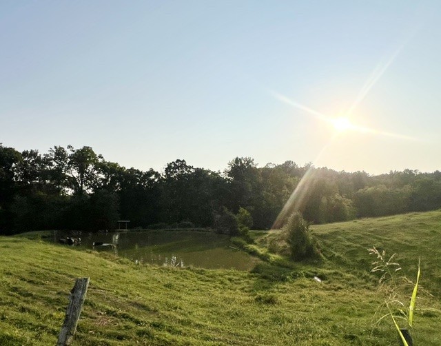 4th image of 0 Wilkerson Road, Adolphus, KY 42120 | MLS# 3512653