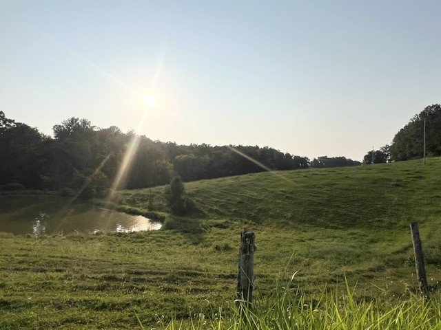 1st image of 0 Wilkerson Road, Adolphus, KY 42120 | MLS# 3512653