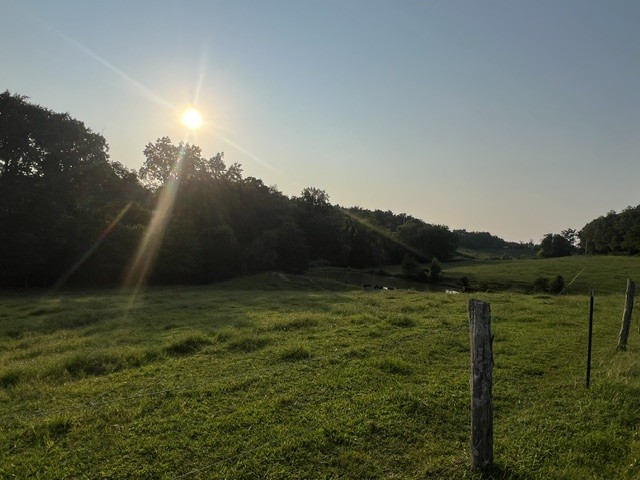 5th image of 0 Wilkerson Road, Adolphus, KY 42120 | MLS# 3512653