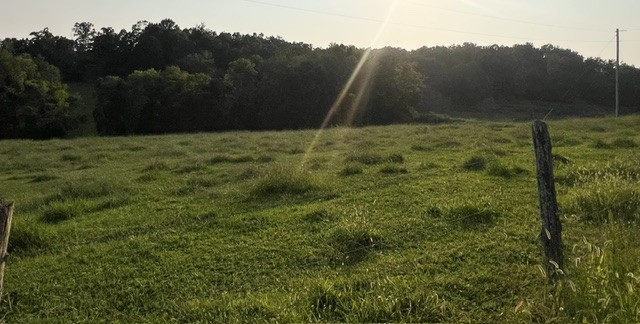 2nd image of 0 Wilkerson Road, Adolphus, KY 42120 | MLS# 3512653