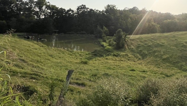 3rd image of 0 Wilkerson Road, Adolphus, KY 42120 | MLS# 3512653
