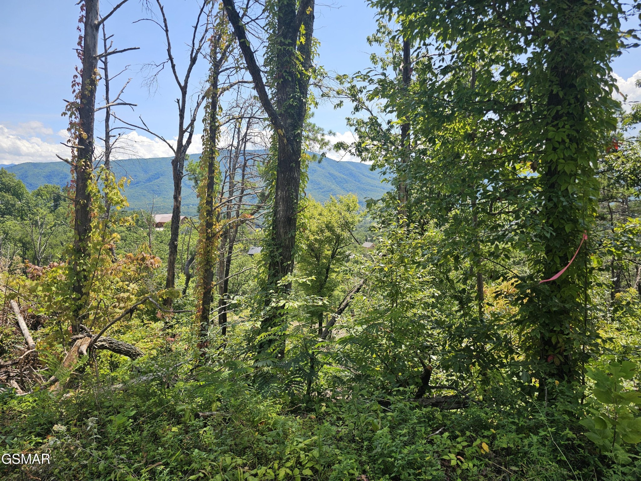 17th image of 2330 Surries High Top Way, Sevierville, TN 37862 | MLS# 3524767