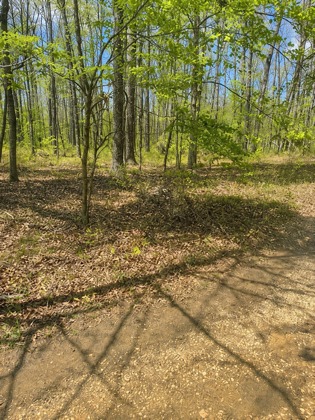 1st image of 0 Doe Creek Lake Dr, Sparta, TN 38583 | MLS# 3525706