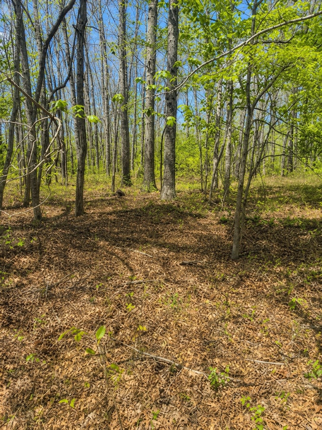 3rd image of 0 Doe Creek Lake Dr, Sparta, TN 38583 | MLS# 3525706