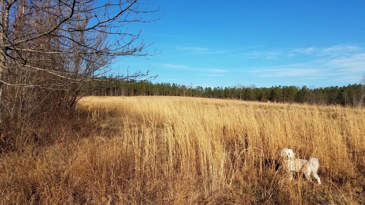 7th image of 50 Lewis Rd, Spencer, TN 38585 | MLS# 3520916