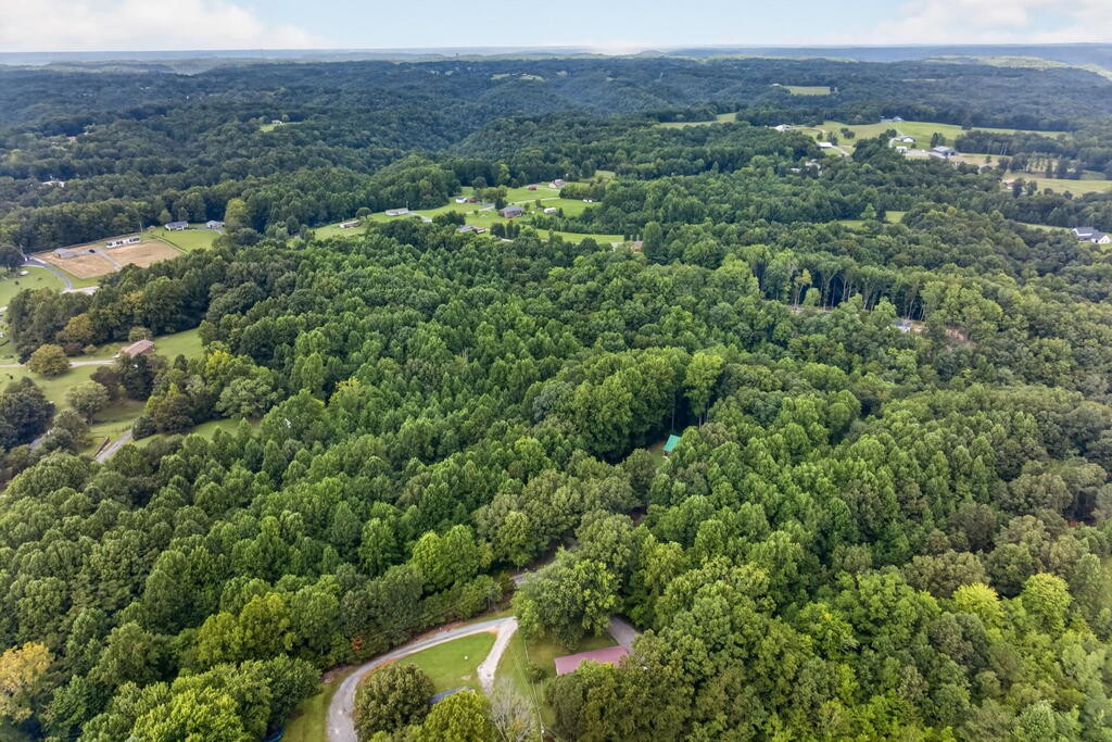 32nd image of 147 Ray Ln, Gainesboro, TN 38562 | MLS# 3523781