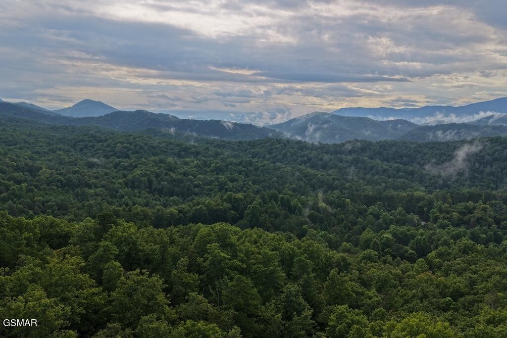 2nd image of 26 Shady Oaks Way, Sevierville, TN 37876 | MLS# 3525579