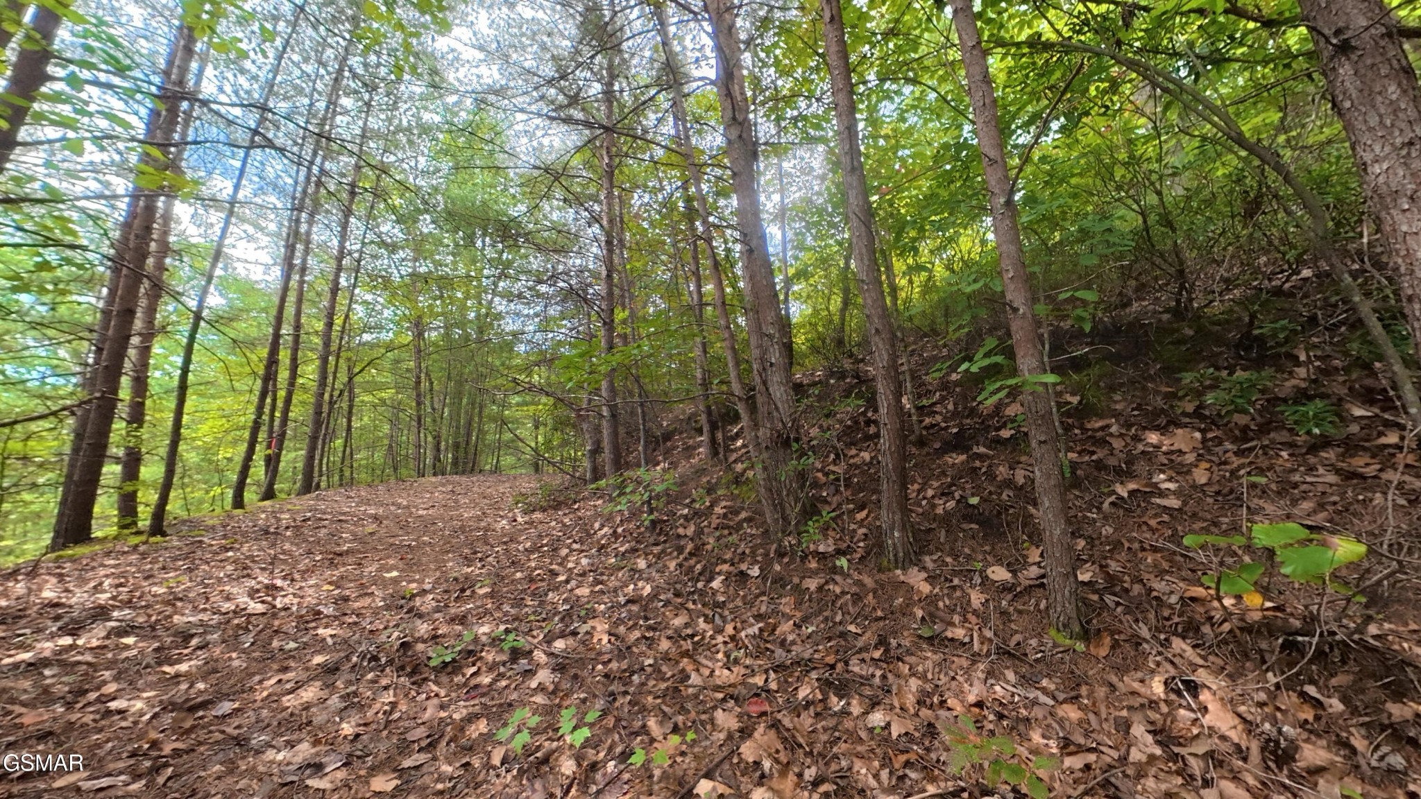 5th image of 44 Shady Oaks Way, Sevierville, TN 37876 | MLS# 3525592