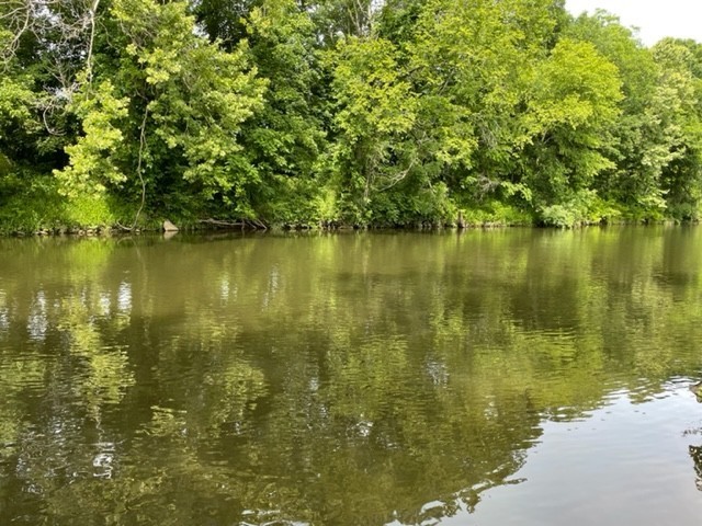 1st image of 30 3 Forks Bridge Rd, Wartrace, TN 37183 | MLS# 3527083