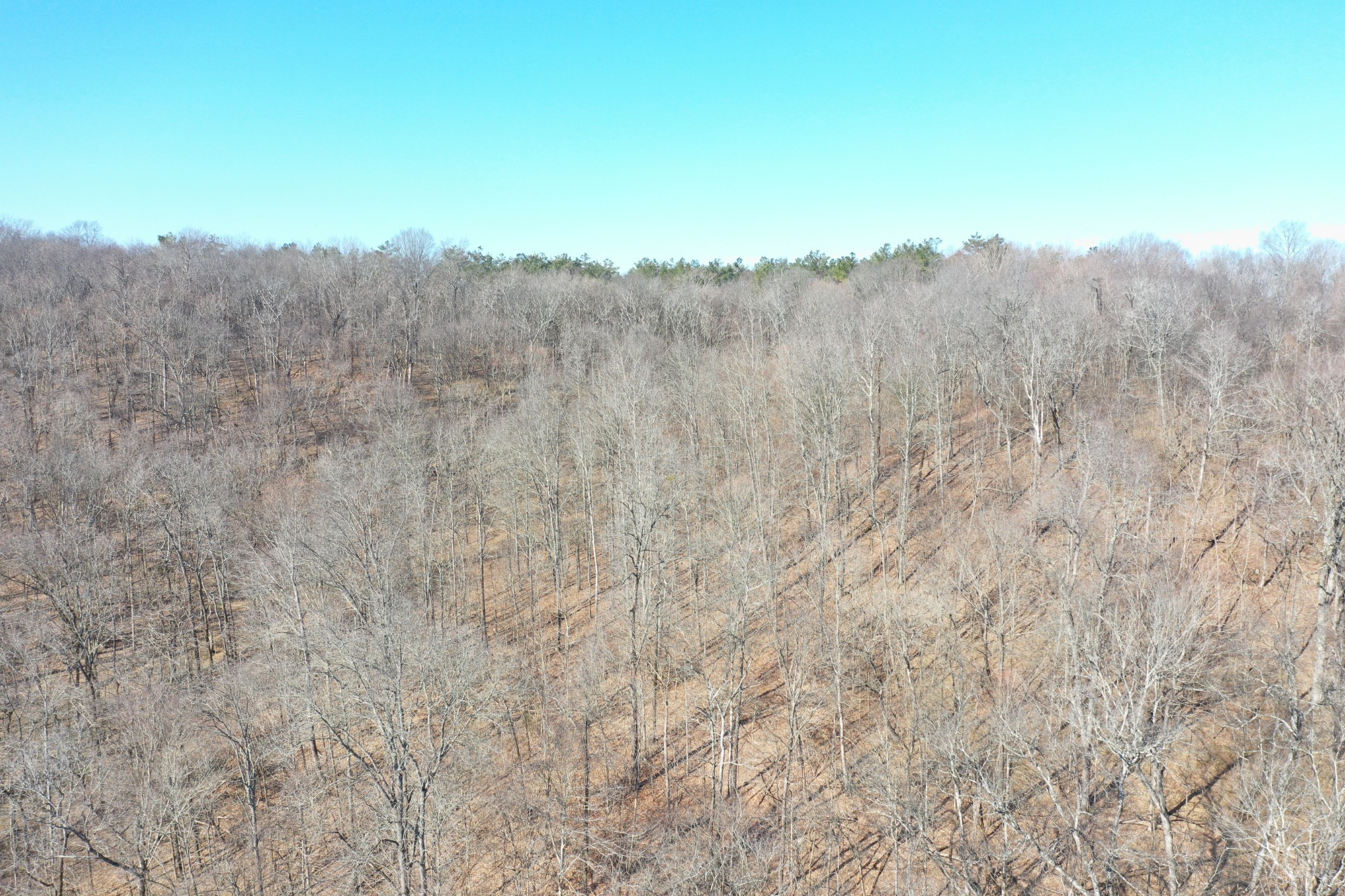3rd image of 0 Dog Branch Rd, Mount Pleasant, TN 38474 | MLS# 3525775