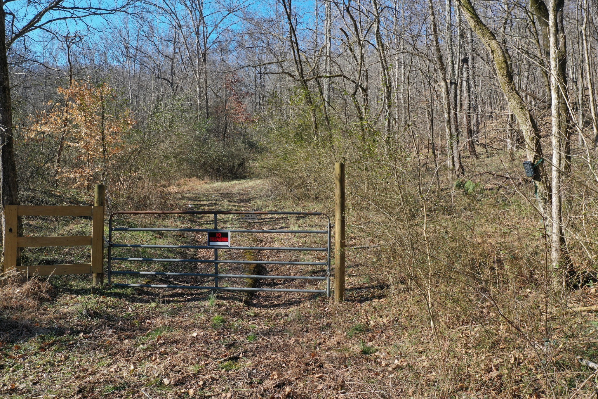 1st image of 0 Dog Branch Rd, Mount Pleasant, TN 38474 | MLS# 3525775