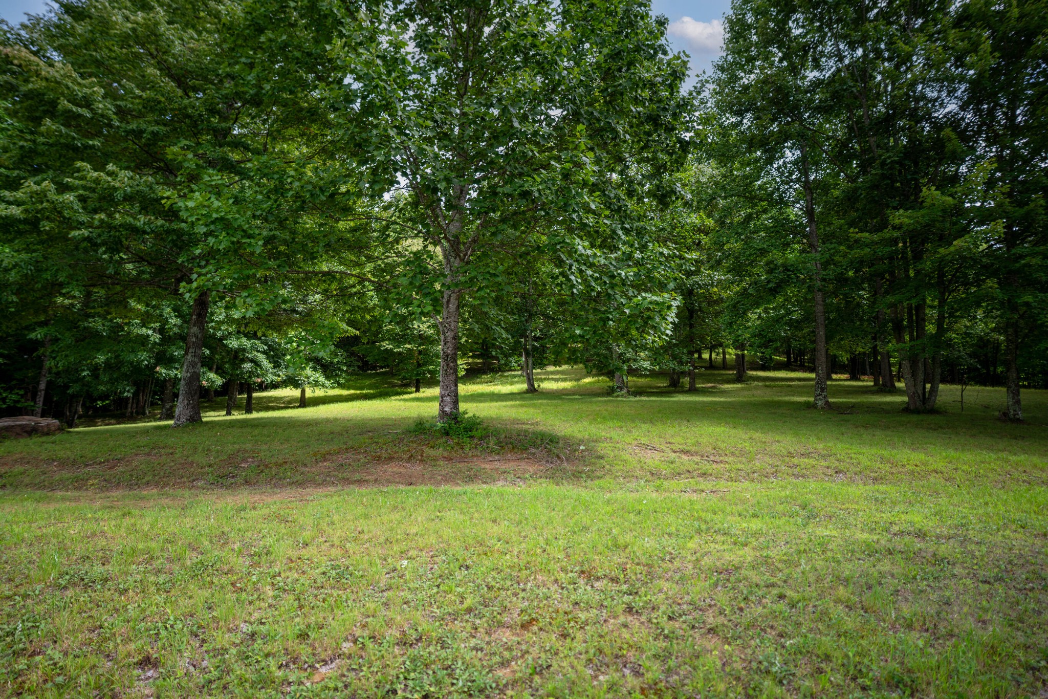 27th image of 243 Roaring Creek Road, Dunlap, TN 37327 | MLS# 3525805