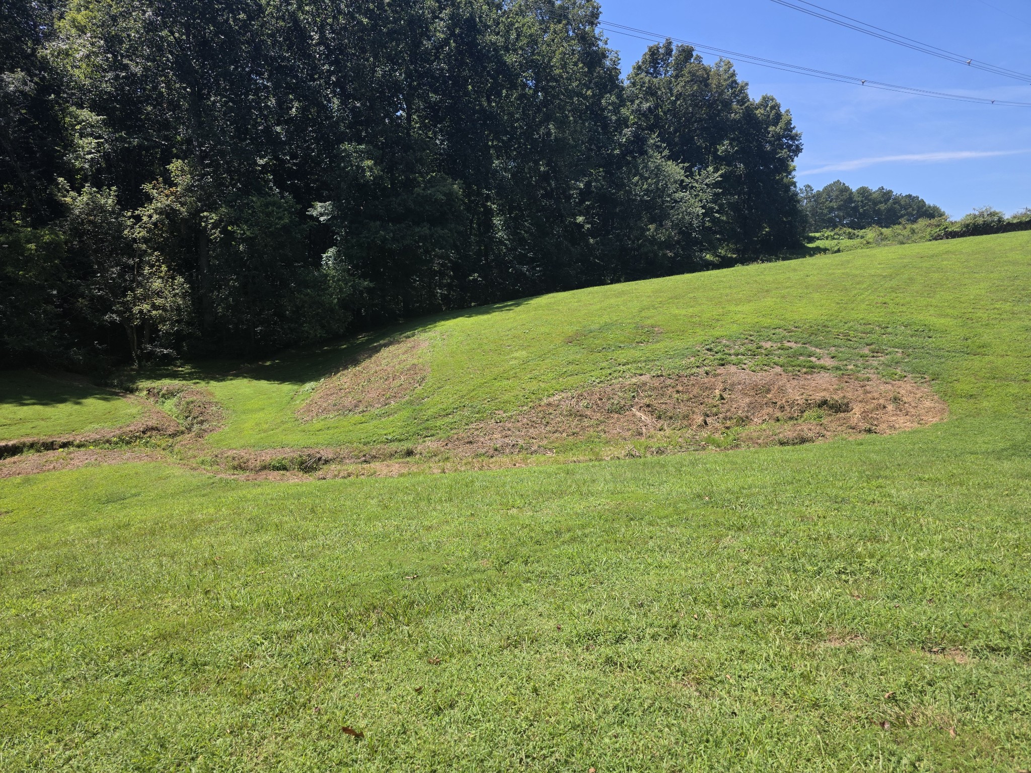 57th image of 6353 Morton Rd, Greenbrier, TN 37073 | MLS# 3525861