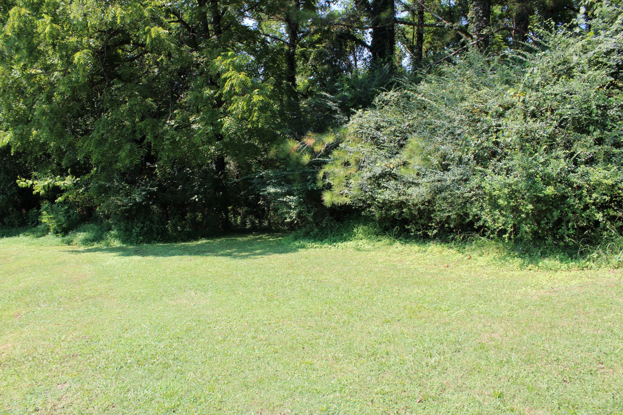 14th image of 435 W Woodring St, Pulaski, TN 38478 | MLS# 3525860
