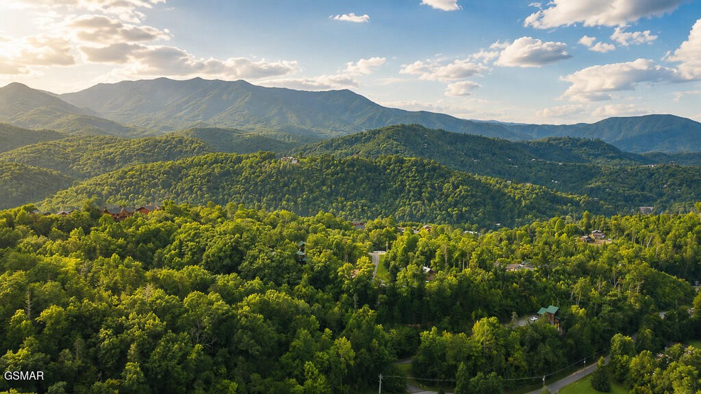 2nd image of 807 Great Smoky Way, Gatlinburg, TN 37738 | MLS# 3525964