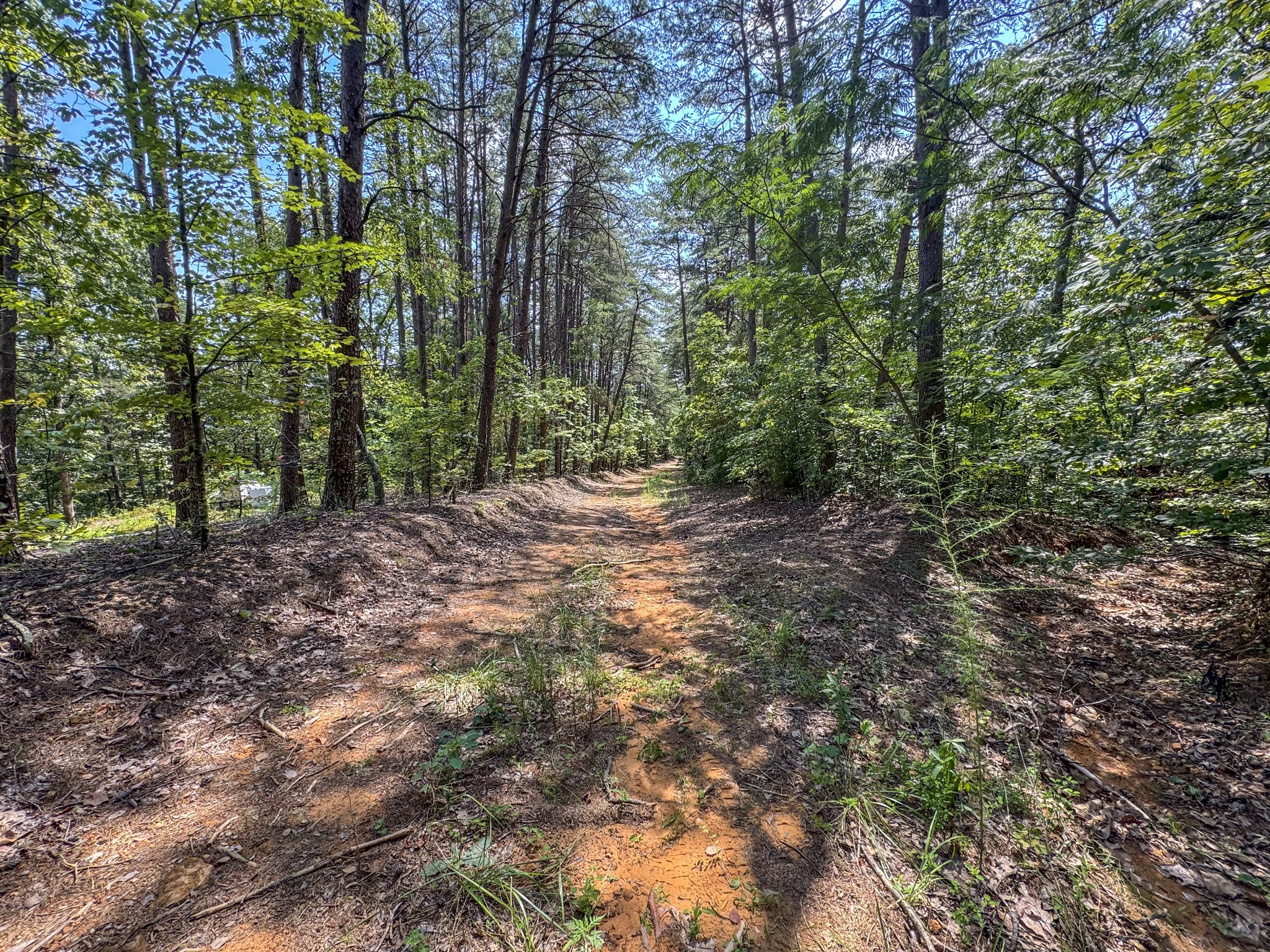 69th image of 0 Horns Creek Road, Old Fort, TN 37362 | MLS# 3527546