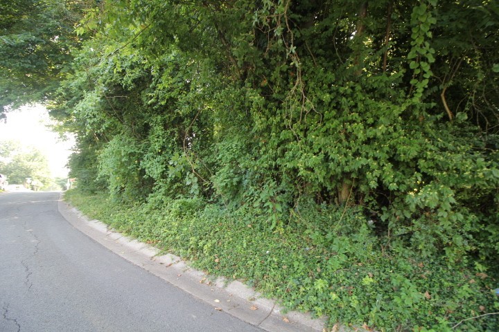 6th image of 0 9th, Clarksville, TN 37040 | MLS# 3526420