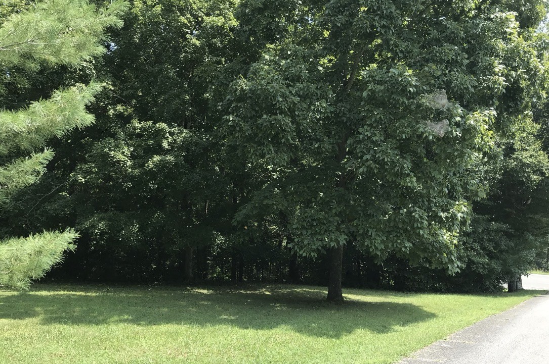 2nd image of 0 Hazel, Centerville, TN 37033 | MLS# 3527115