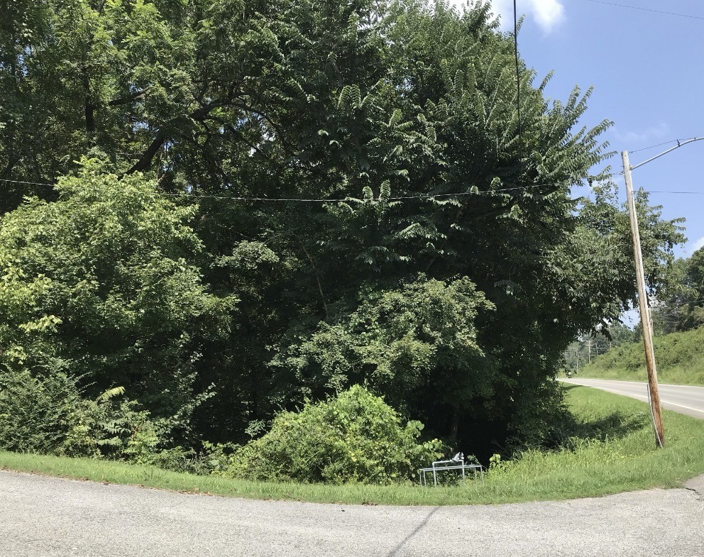 1st image of 0 Hazel, Centerville, TN 37033 | MLS# 3527115