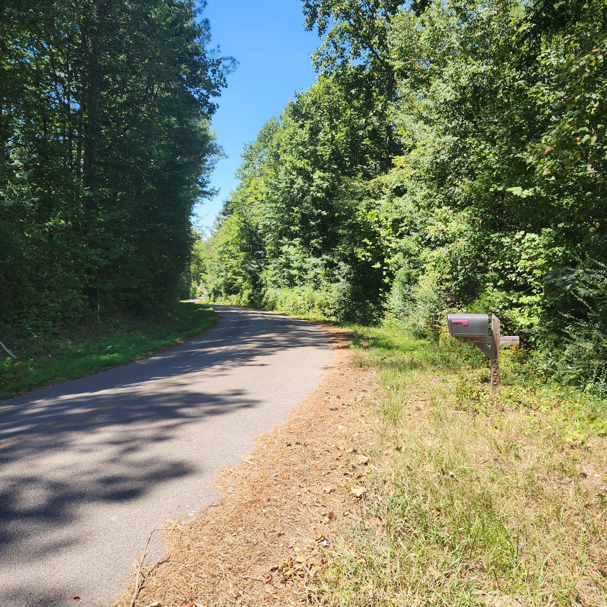 5th image of 266 Shoally Branch, Leoma, TN 38468 | MLS# 3527381