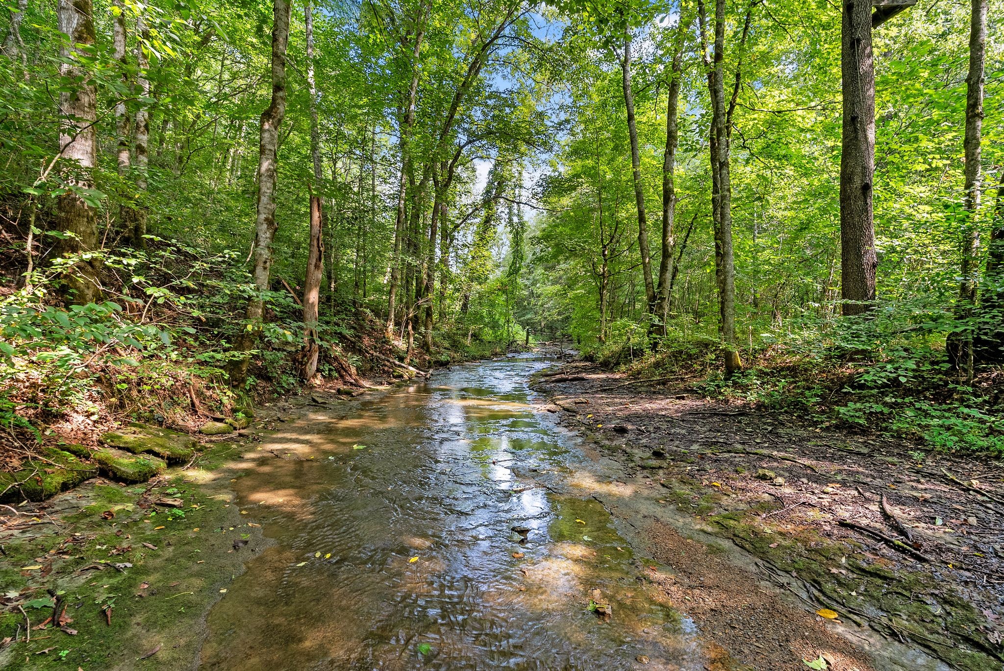 1st image of 599 Jake Rockwell Rd, Celina, TN 38551 | MLS# 3527252