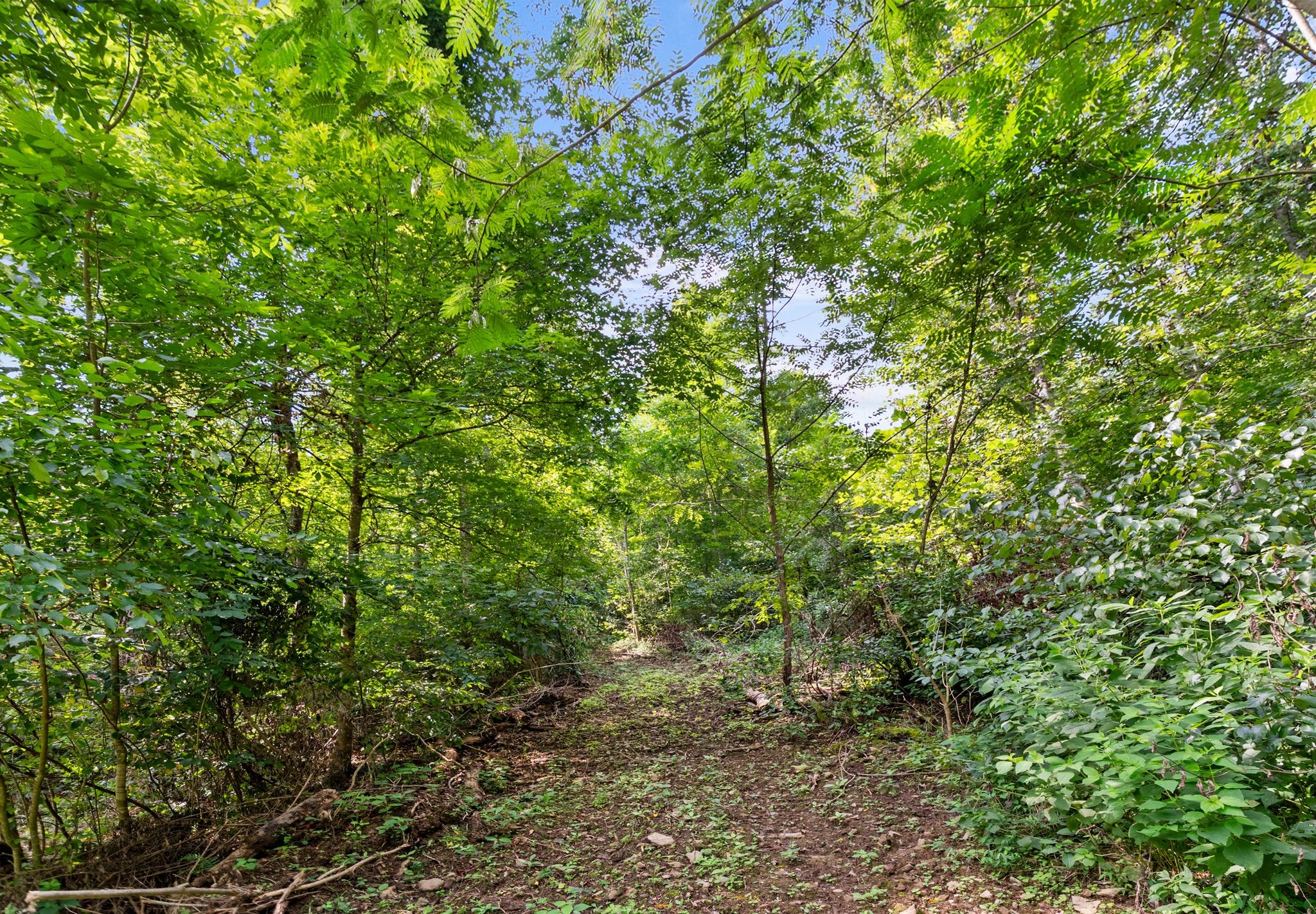 96th image of 599 Jake Rockwell Rd, Celina, TN 38551 | MLS# 3527252