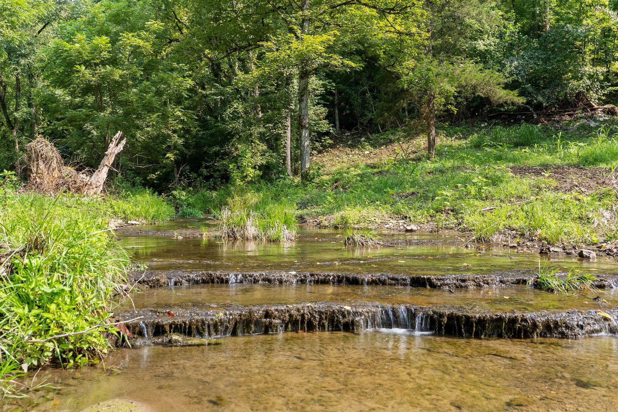3rd image of 599 Jake Rockwell Rd, Celina, TN 38551 | MLS# 3527252