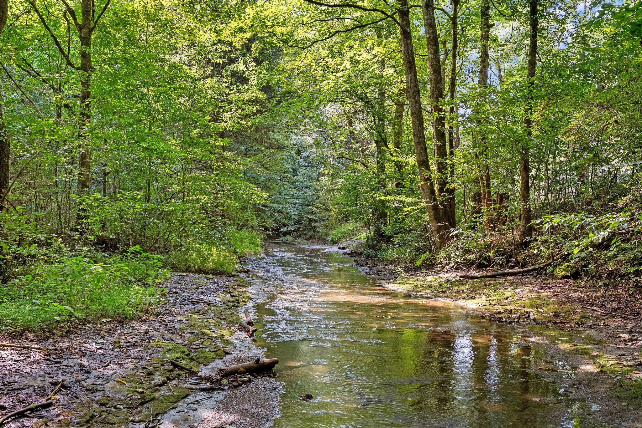 5th image of 599 Jake Rockwell Rd, Celina, TN 38551 | MLS# 3527252