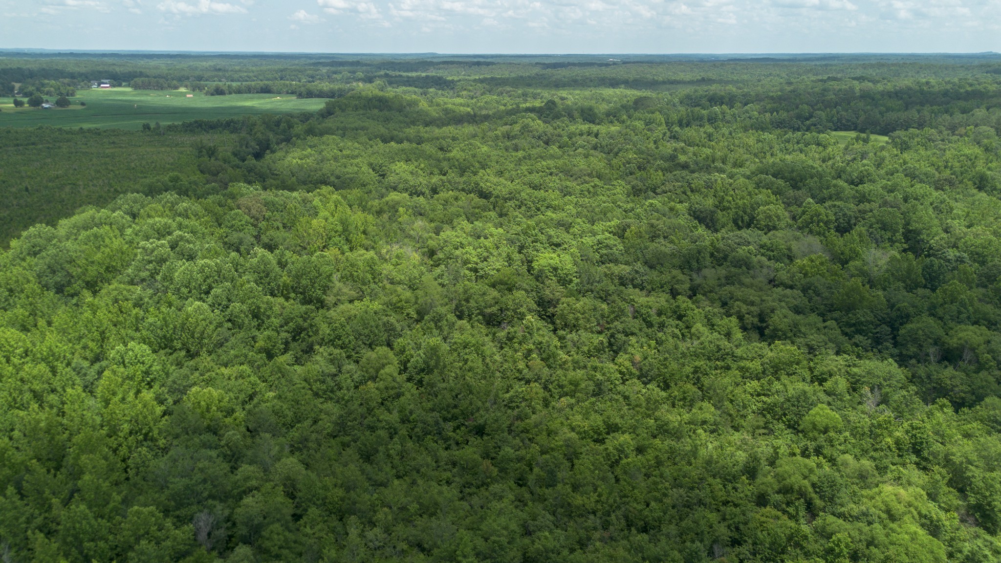 1st image of 0 Smith Rd, Finger, TN 38334 | MLS# 3527571