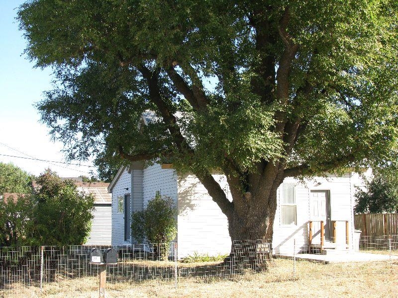 Homes for sale in Davenport, WA | 820 Jefferson St, Davenport, WA 99122 | MLS# 202411908