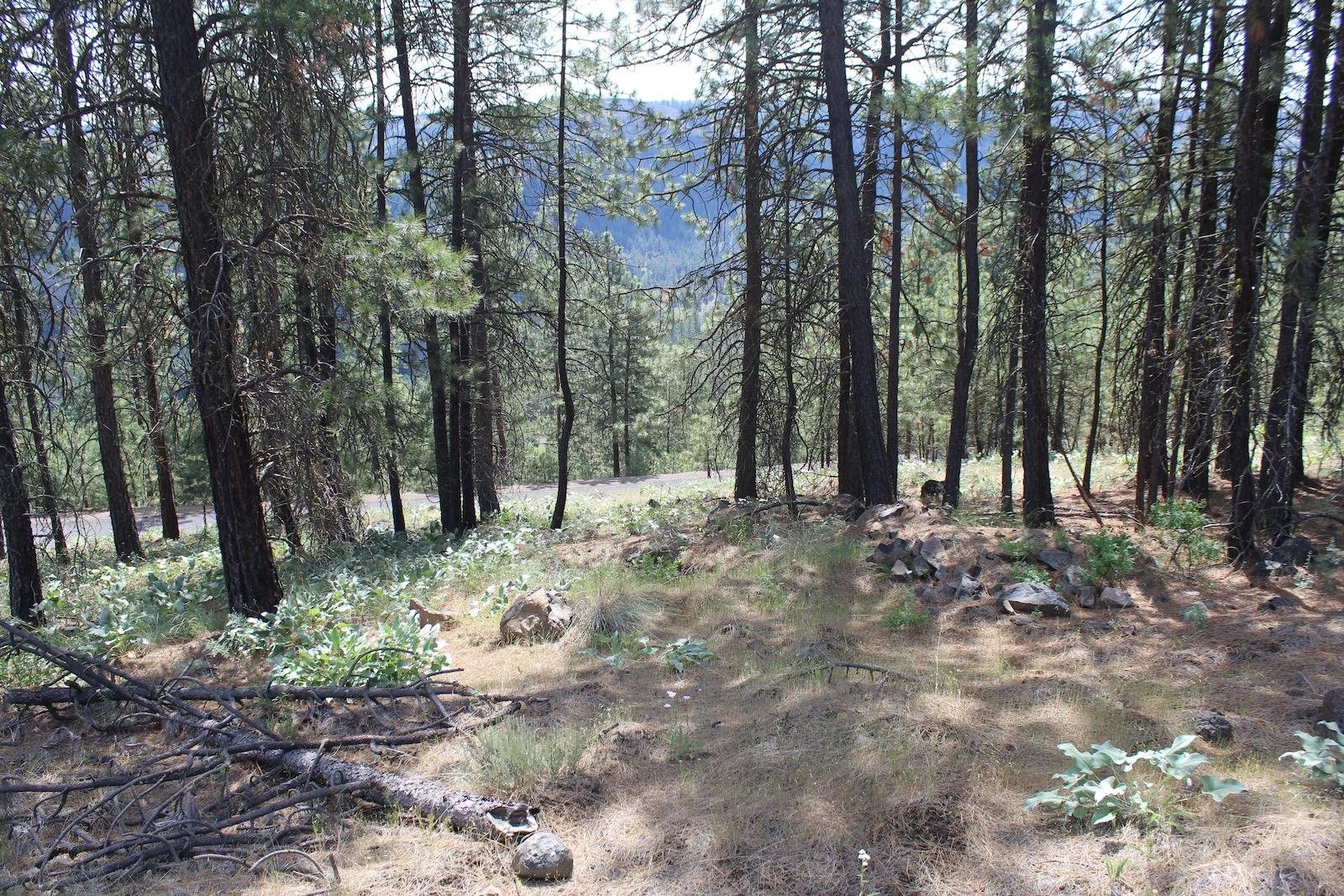 Homes for sale in Davenport, WA | Badger 1 Sontag Ridge Dr, Davenport, WA 99122 | MLS# 202511835