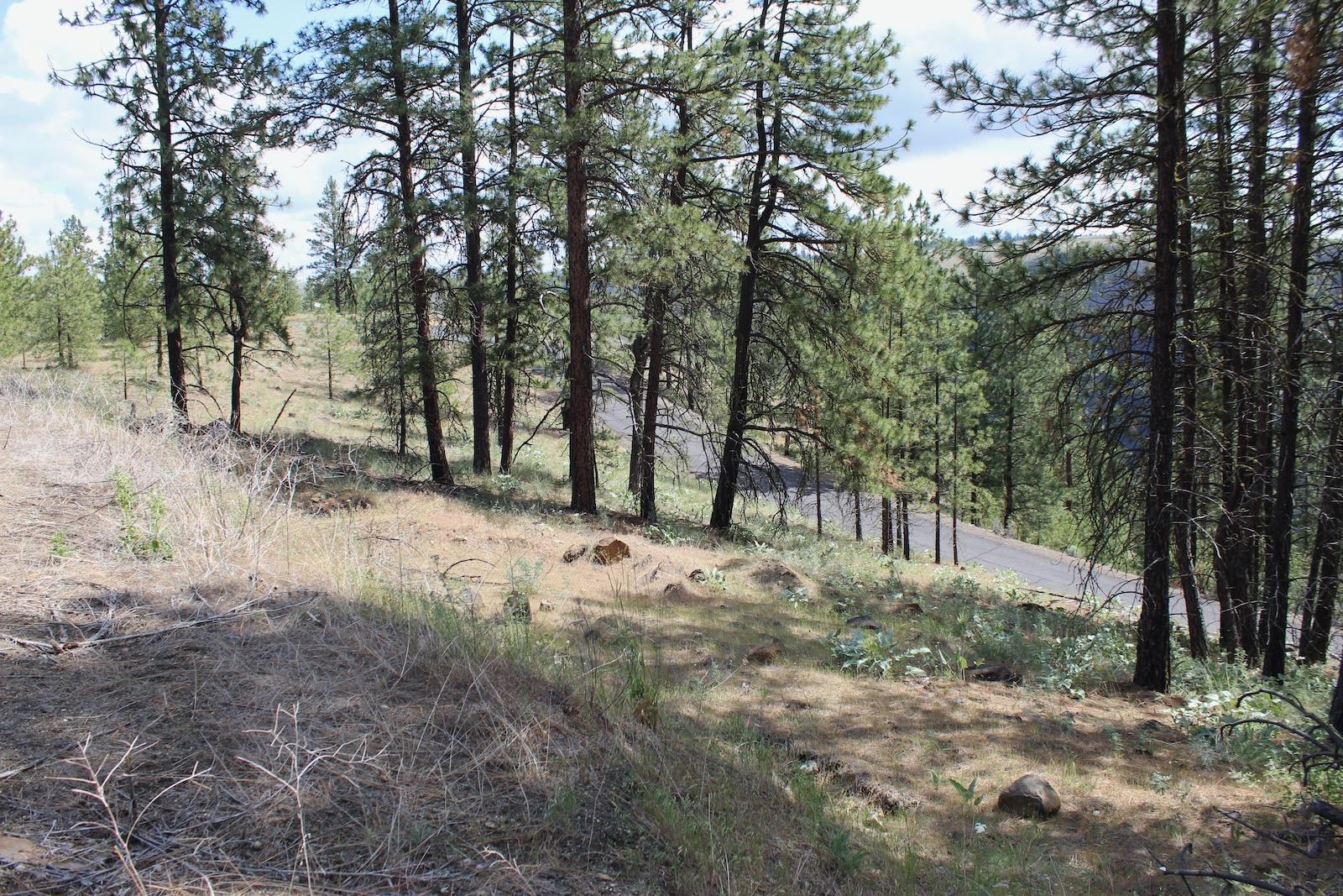 Homes for sale in Davenport, WA | Badger 1 Sontag Ridge Dr, Davenport, WA 99122 | MLS# 202511835