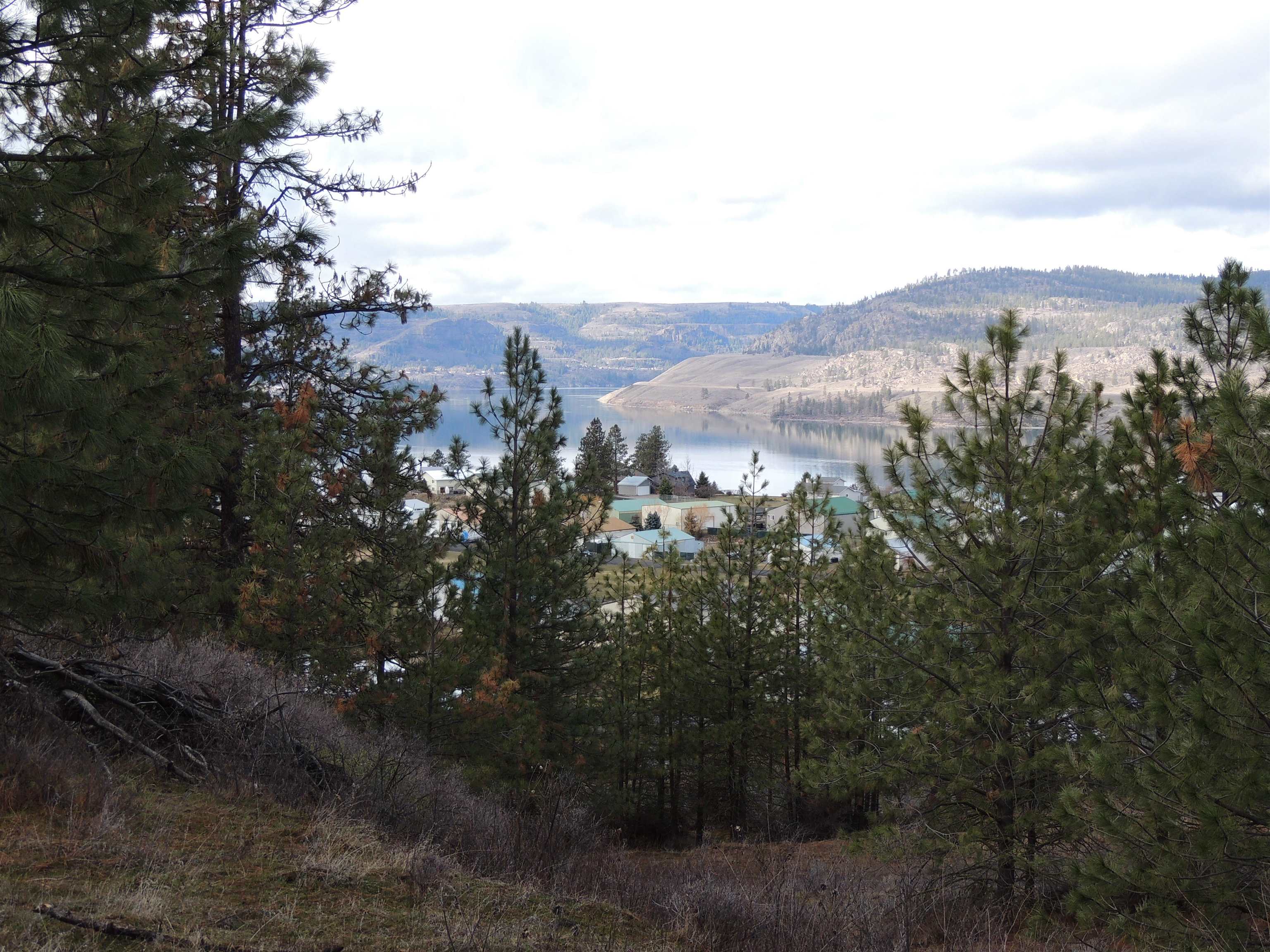 Homes for sale in Davenport, WA | River Bend Ln E Lot 4 Mason'S Short Plat, Davenport, WA 99122 | MLS# 202513321