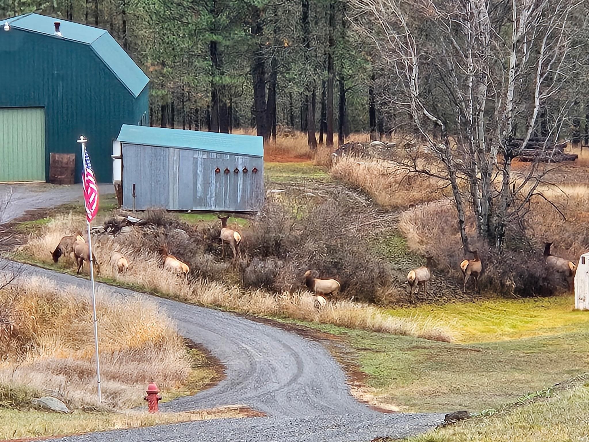 Homes for sale in Colville, WA | 1076 Starvation Lake Rd, Colville, WA 99114 | MLS# 202514714