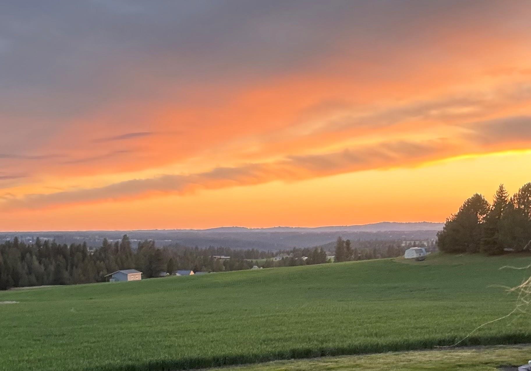 Homes for sale in Spokane, WA | 7406 S Deerview Ln, Spokane, WA 99223 | MLS# 202516673