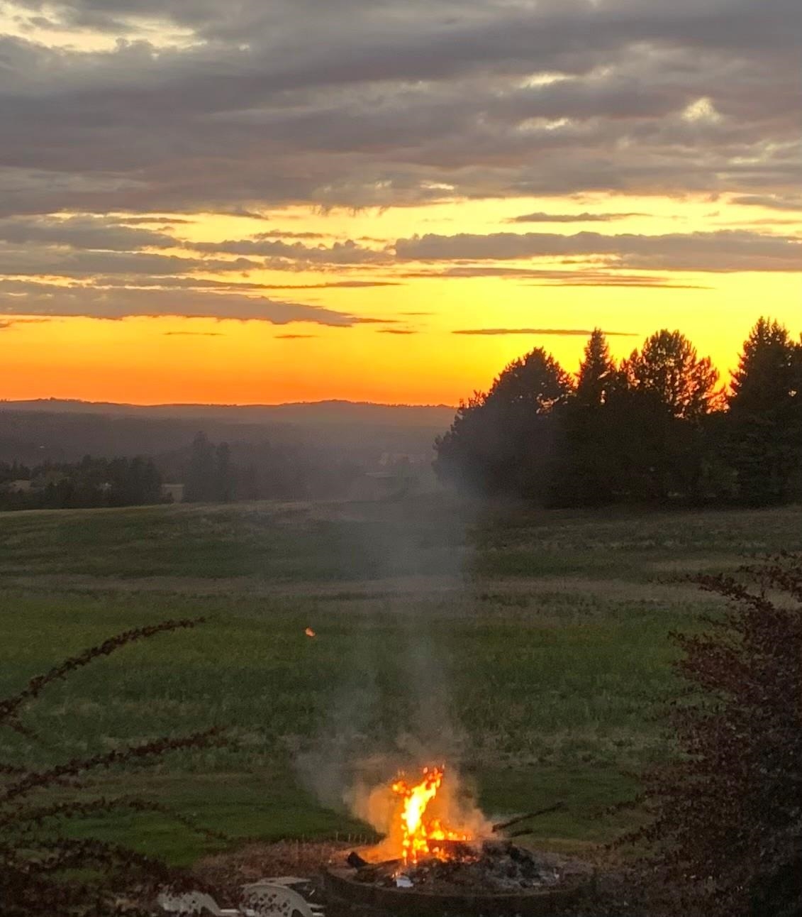 Homes for sale in Spokane, WA | 7406 S Deerview Ln, Spokane, WA 99223 | MLS# 202516673