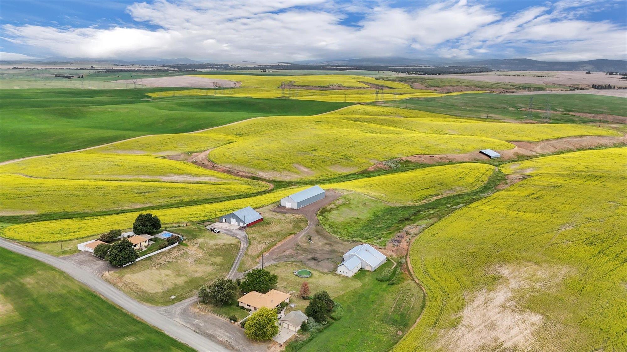 Homes for sale in Reardan, WA | 50169 Bergeron Rd E Rd, Reardan, WA 99029 | MLS# 202519215