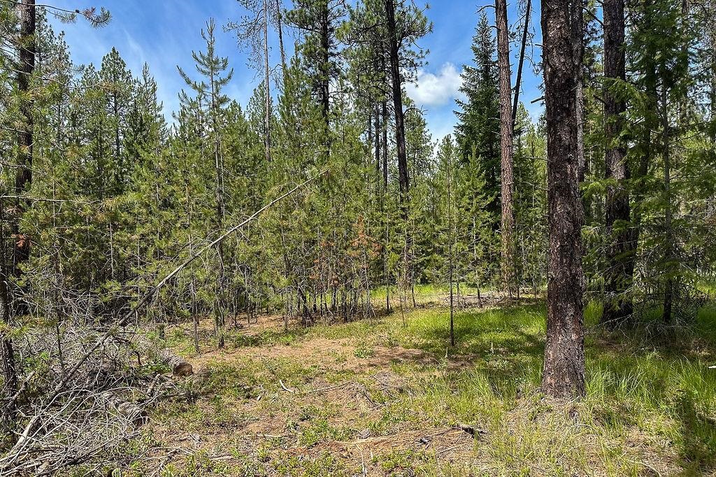 Homes for sale in Valley, WA | 3792 M E Jump Off Rd, Valley, WA 99181 | MLS# 202519608