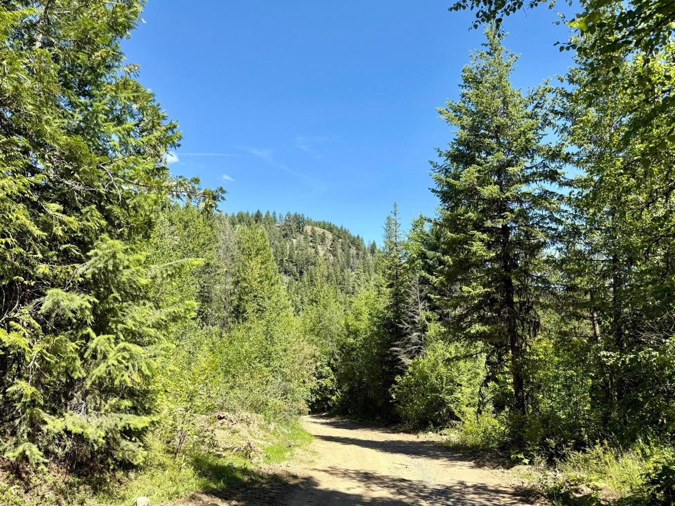 Homes for sale in Danville, WA | Tbd Perenlandra Cir, Danville, WA 99121 | MLS# 202521041