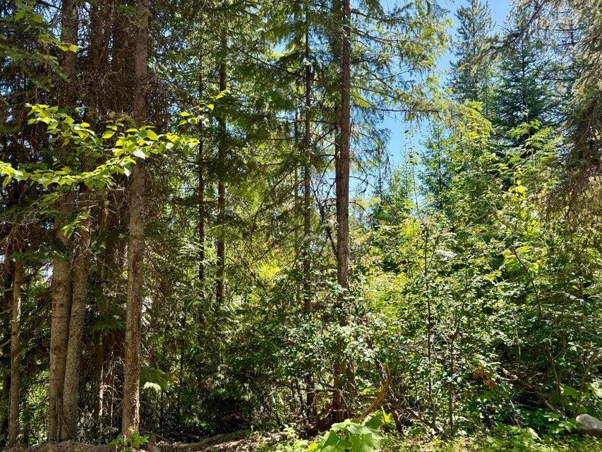 Homes for sale in Danville, WA | Tbd Perelandra Lot 36,37,41 Cir, Danville, WA 99121 | MLS# 202521042