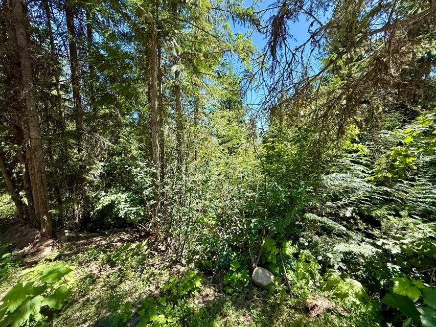 Homes for sale in Danville, WA | Tbd Perelandra Lot 36,37,41 Cir, Danville, WA 99121 | MLS# 202521042