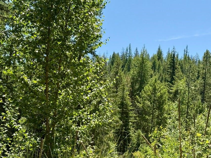 Homes for sale in Danville, WA | Tbd Perelandra Lot 36,37,41 Cir, Danville, WA 99121 | MLS# 202521042