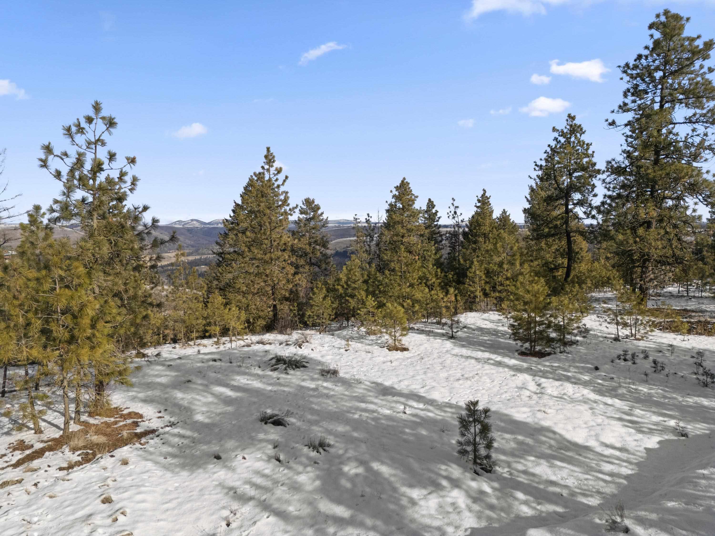 Homes for sale in Davenport, WA | 34820 Partridge Ln N Ln, Davenport, WA 99122 | MLS# 202524165